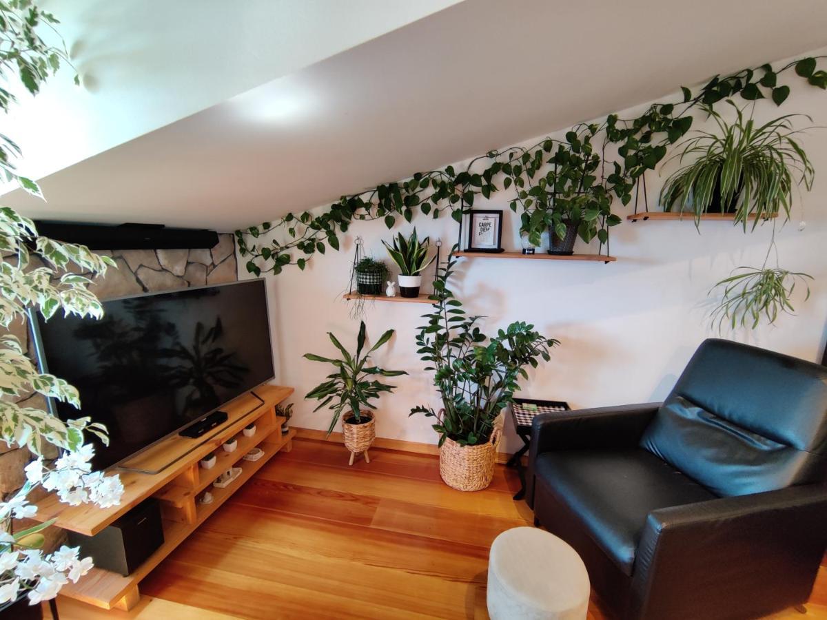 Apartament Smile *